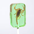 Scorpio Glass Pop