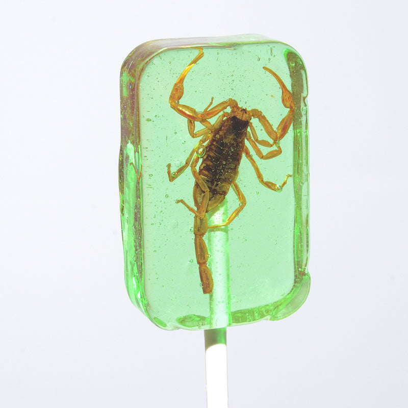 Scorpio Glass Pop