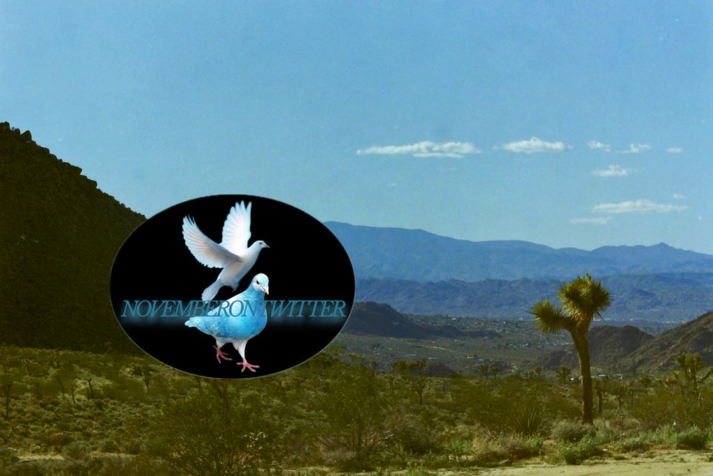 Mojave Post Cards (5 Pack)