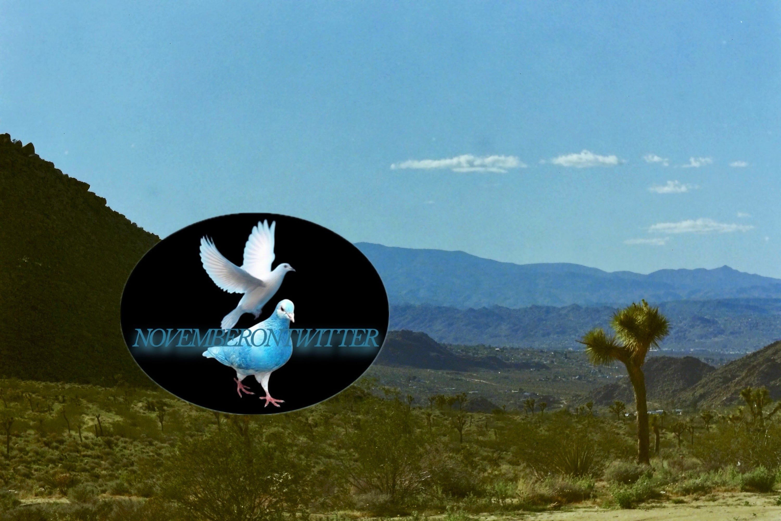Mojave Post Cards (5 Pack)