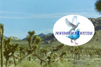 Mojave Post Cards (5 Pack)