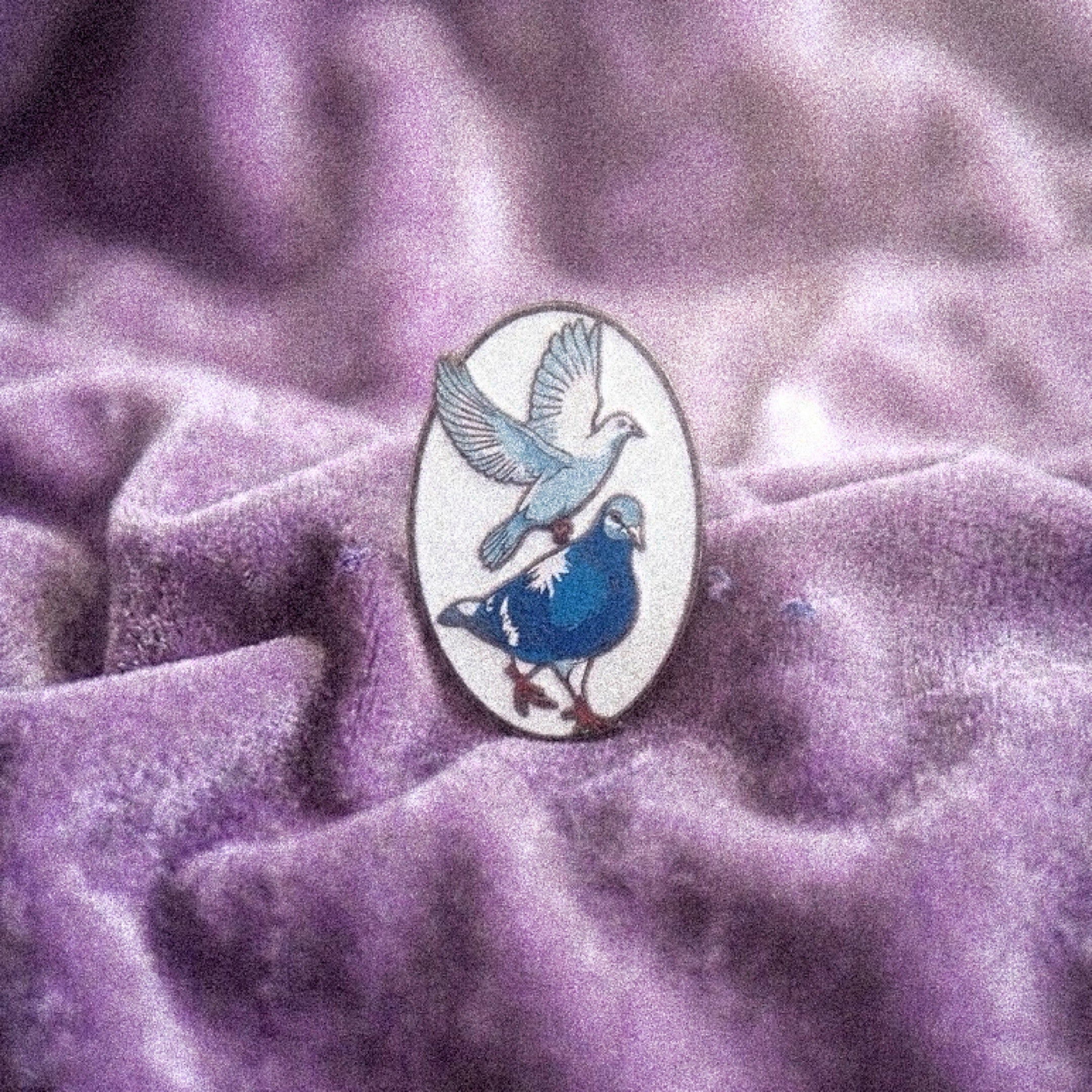 Dove & Pigeon Enamel Pin (White)